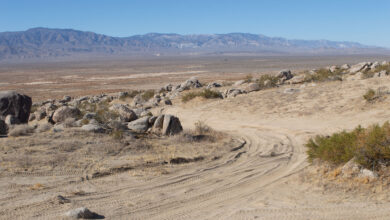 Conquer the desert in v0.27